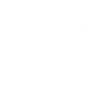 Wild Horizon Gear
