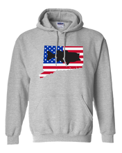 Load image into Gallery viewer, Pullover Hooded Sweatshirt Connecticut Athletic Heather Large Mouth Bass Vibrant Design High Quality Tight Knit Ring Spun Low Maintenance Cotton Printed With The Newest Available Color Transfer Technology