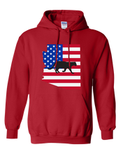 Load image into Gallery viewer, Pullover Hooded Sweatshirt Arizona Red Mountain Lion Vibrant Design High Quality Tight Knit Ring Spun Low Maintenance Cotton Printed With The Newest Available Color Transfer Technology