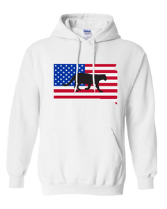 Pullover Hooded Sweatshirt South Dakota White Mountain Lion Vibrant Design High Quality Tight Knit Ring Spun Low Maintenance Cotton Printed With The Newest Available Color Transfer Technology